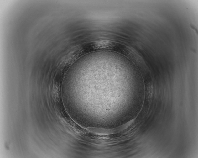 X0000102250653200808011312