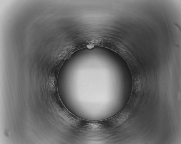 X0000102250654200808011312