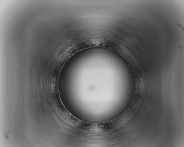 X0000102250656200808011312