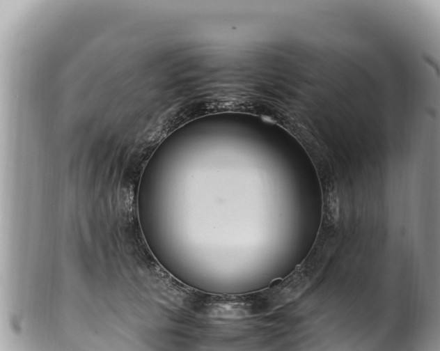 X0000102250657200808011312