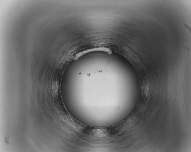 X0000102250660200808011312