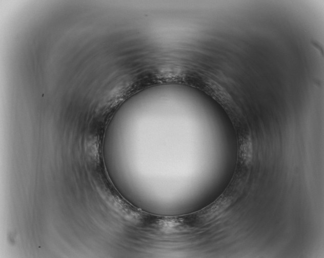 X0000102250662200808011312