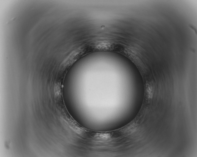 X0000102250665200808011312