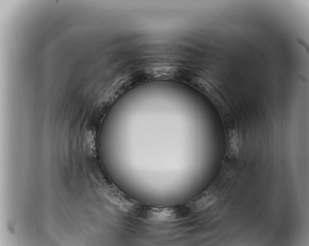 X0000102250667200808011312