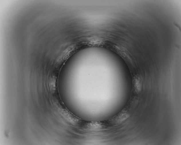 X0000102250668200808011312