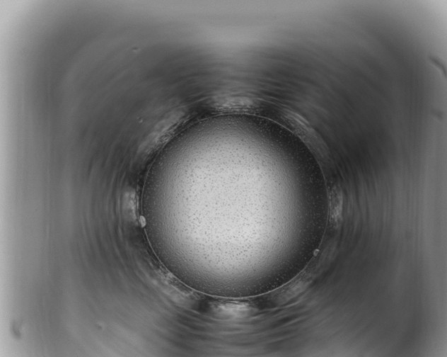 X0000102250669200808011312