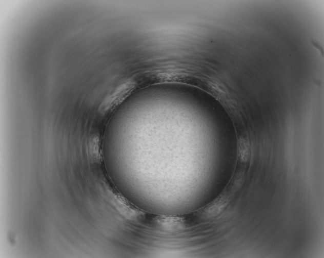 X0000102250670200808011312