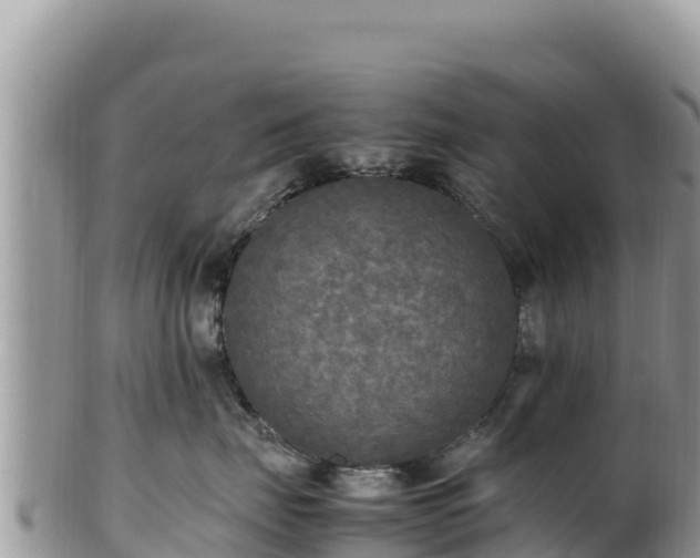 X0000102250671200808011312