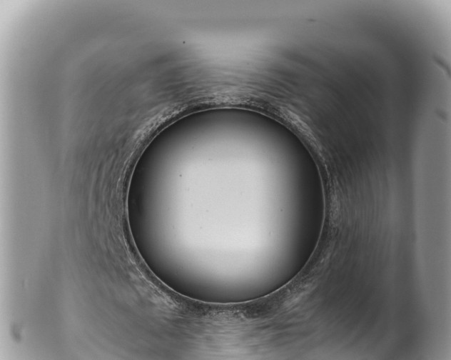 X0000102250673200808011311