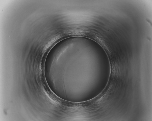 X0000102250674200808011311