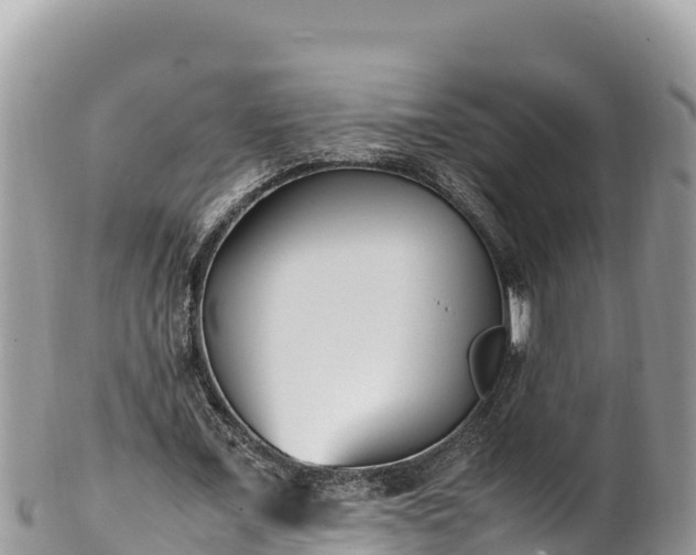 X0000102250675200808011311