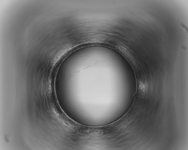 X0000102250676200808011311