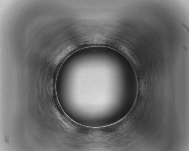 X0000102250677200808011311