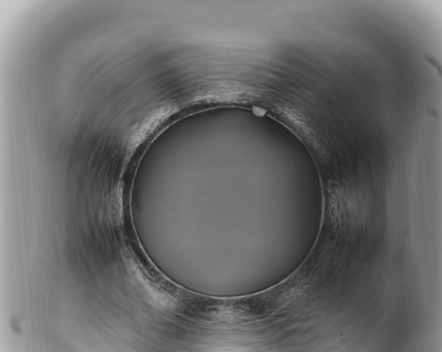 X0000102250678200808011311