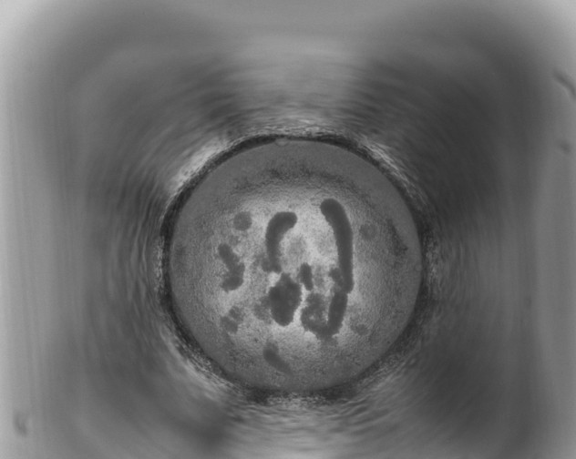 X0000102250679200808011311