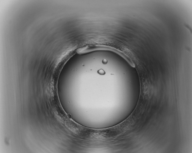 X0000102250680200808011311