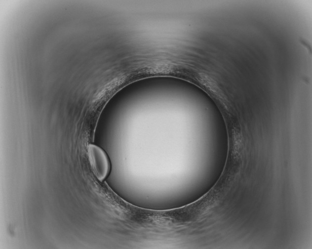 X0000102250681200808011311