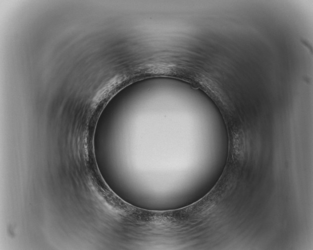 X0000102250682200808011311