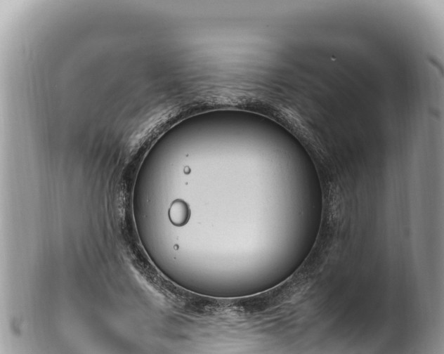 X0000102250683200808011311