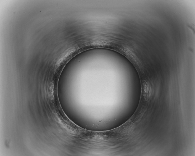 X0000102250684200808011311