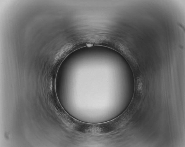 X0000102250685200808011311