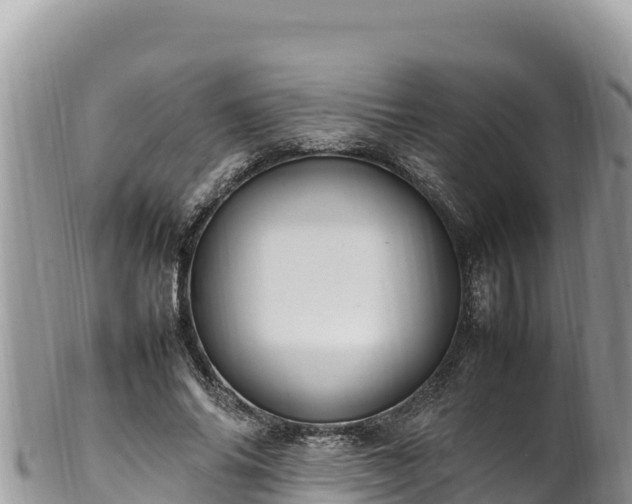 X0000102250686200808011311