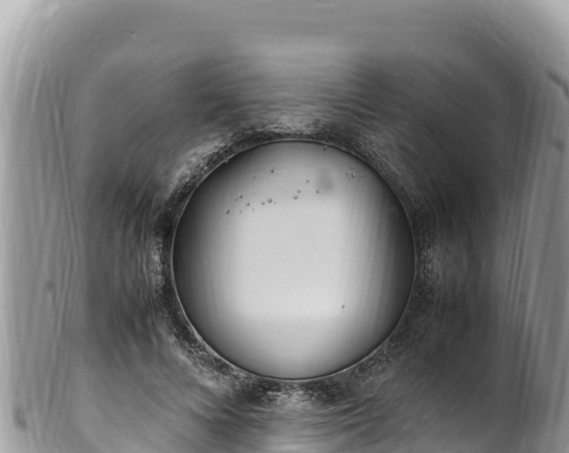 X0000102250688200808011311