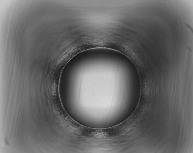 X0000102250689200808011311