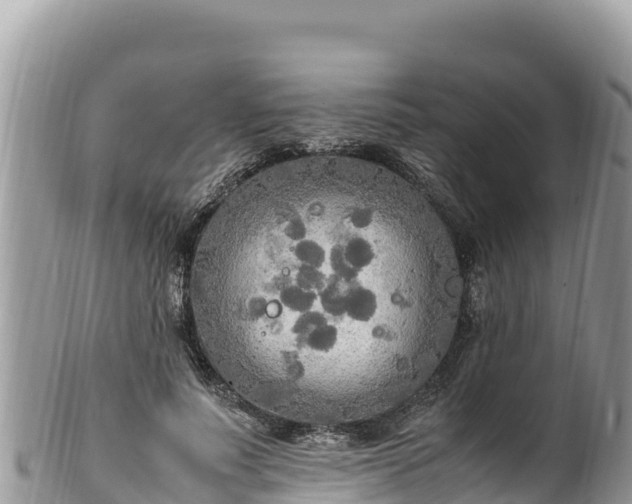 X0000102250691200808011311