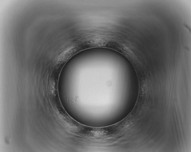 X0000102250693200808011311