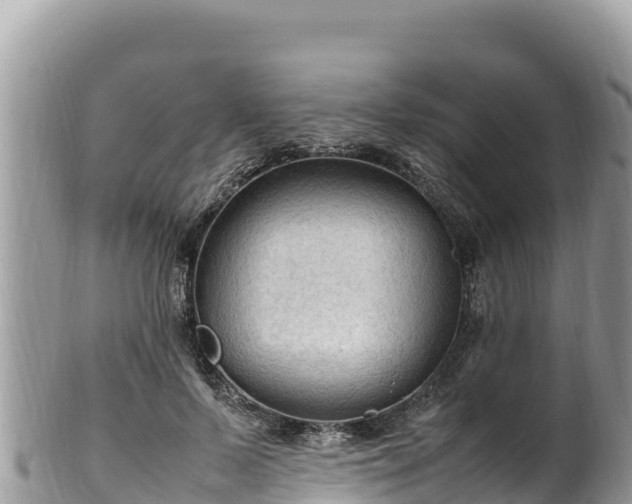 X0000102250695200808011311