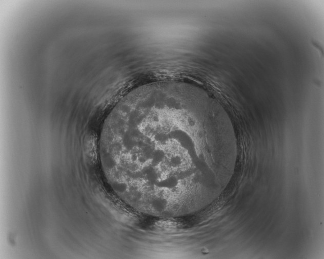 X0000102250699200808011311