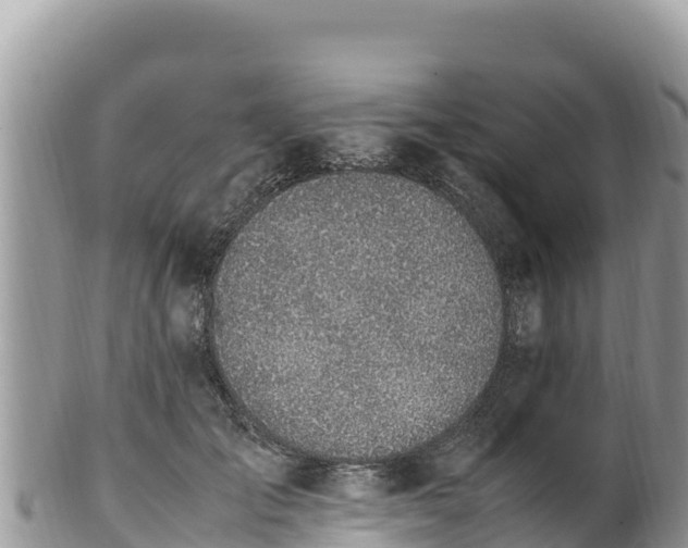 X0000102250701200808011311