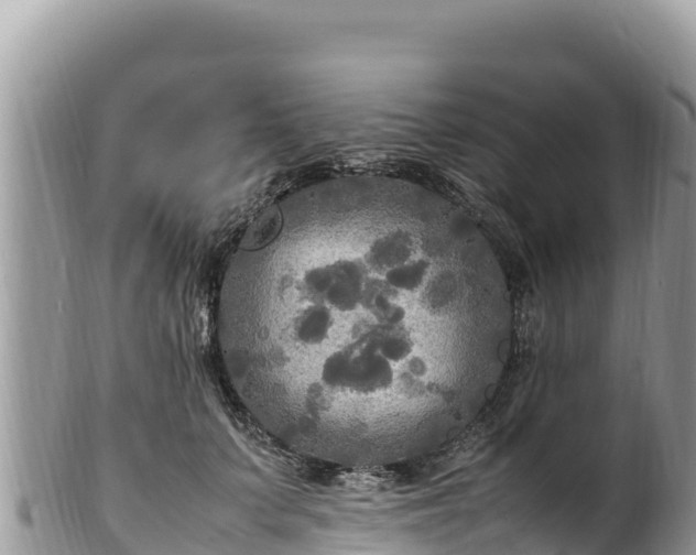 X0000102250703200808011311