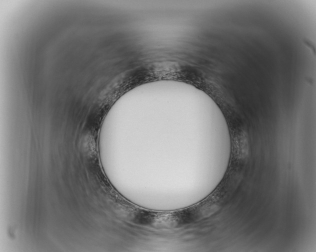 X0000102250705200808011311