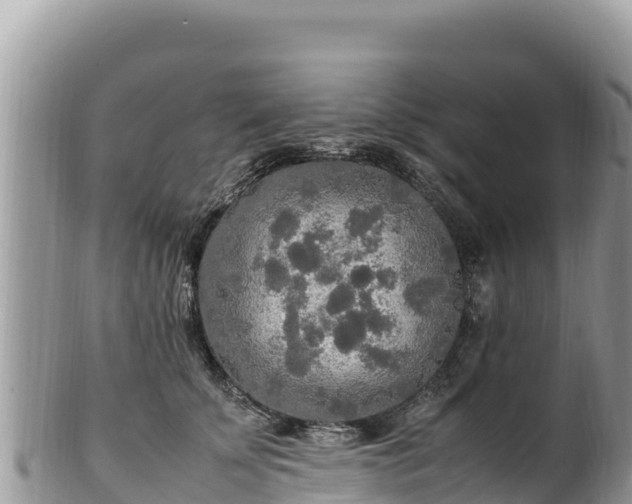 X0000102250707200808011311