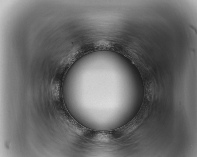 X0000102250708200808011311