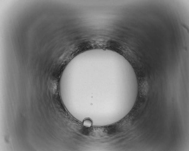 X0000102250709200808011311