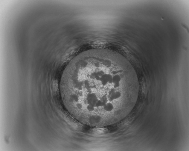 X0000102250711200808011311