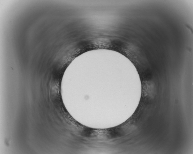 X0000102250713200808011311