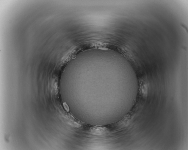 X0000102250716200808011311