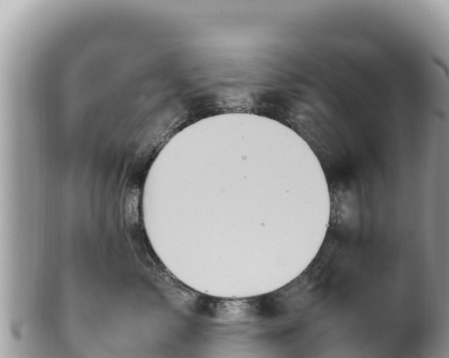 X0000102250717200808011311