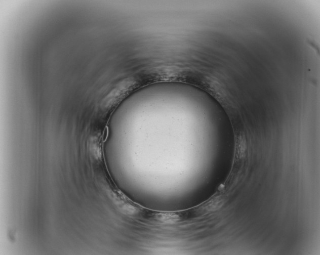 X0000102250719200808011311