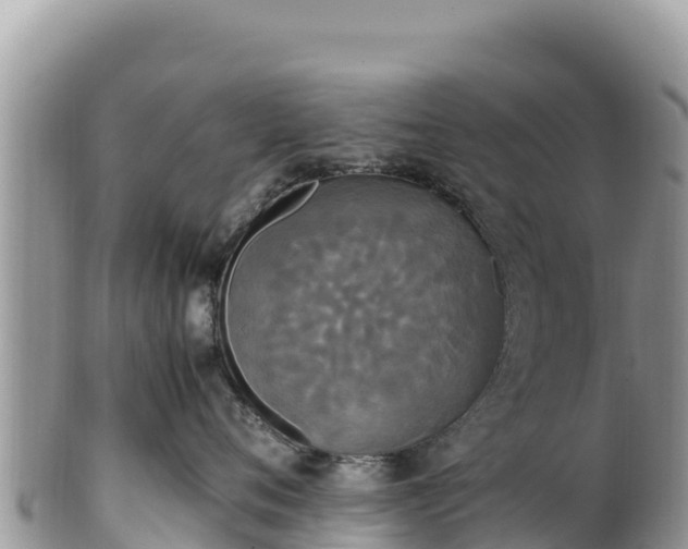 X0000102250720200808011311