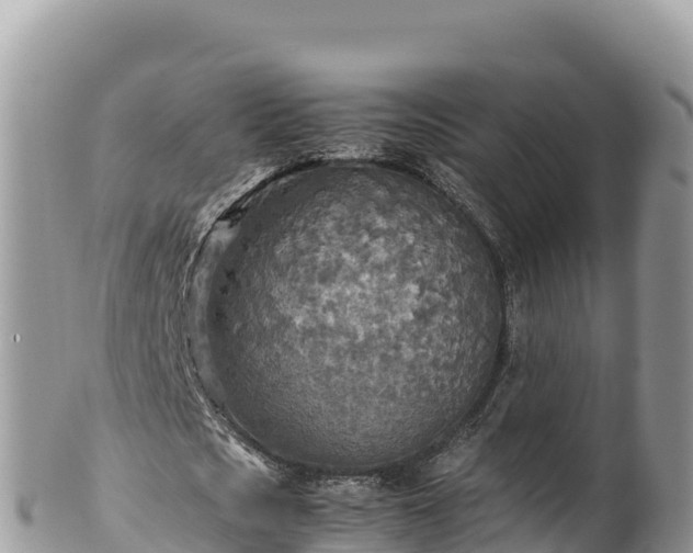 X0000102250721200808011310