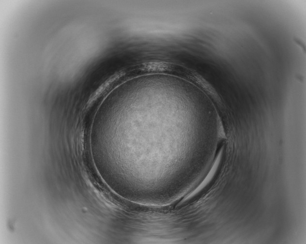 X0000102250722200808011310