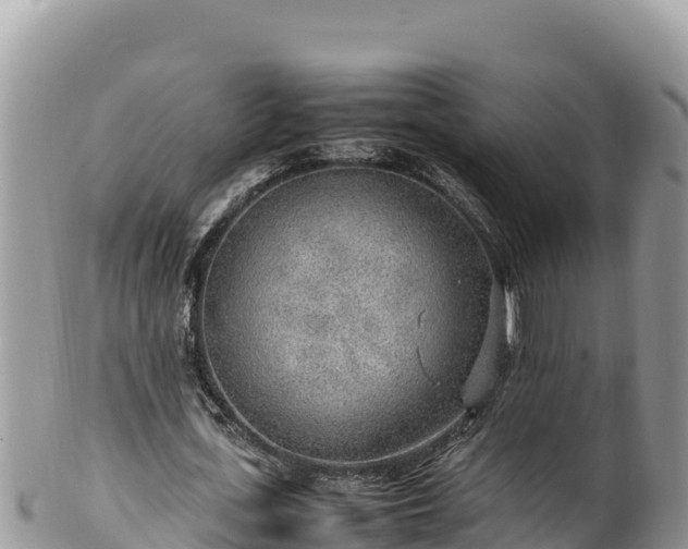 X0000102250723200808011310