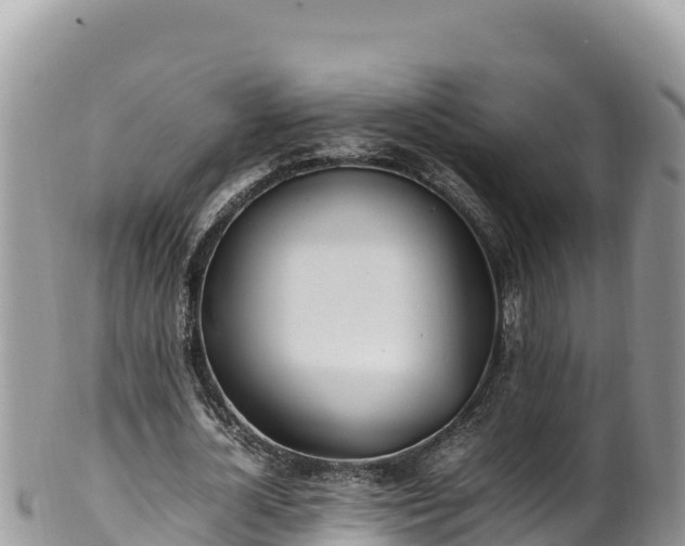 X0000102250724200808011310