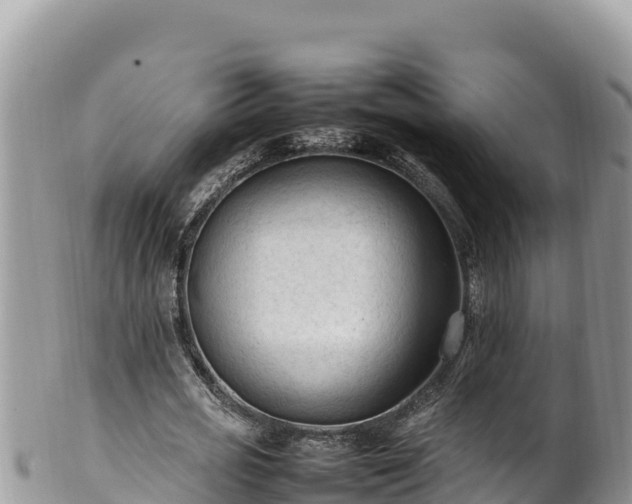 X0000102250725200808011310