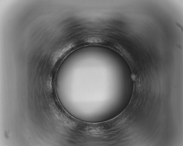 X0000102250727200808011310